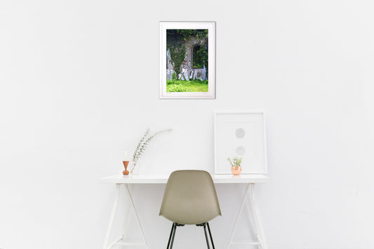 廃墟・神秘的な美しさ