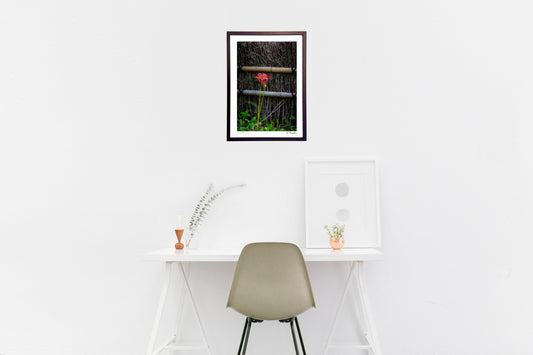 いつの間にか秋へ