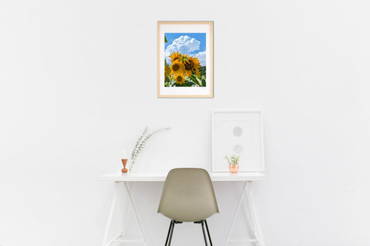 晩夏のひまわりと入道雲