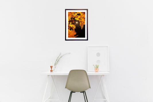 満月のライトアップ