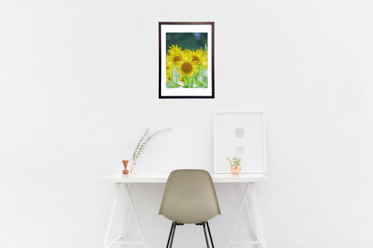 元気で愛嬌たっぷりの向日葵