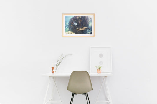 のんびりお散歩