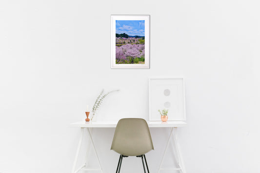 春・さくら絶景