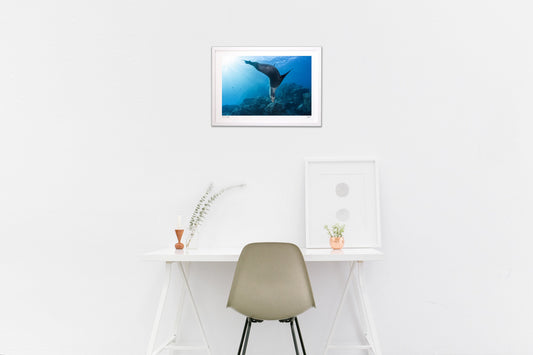 ストップモーション