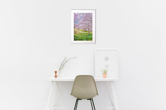 春・さくら絶景2