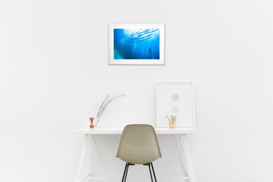 ダイビングアドベンチャー