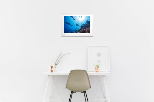 アドベンチャーワールド