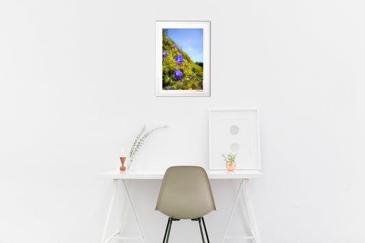 お日さまに向かって