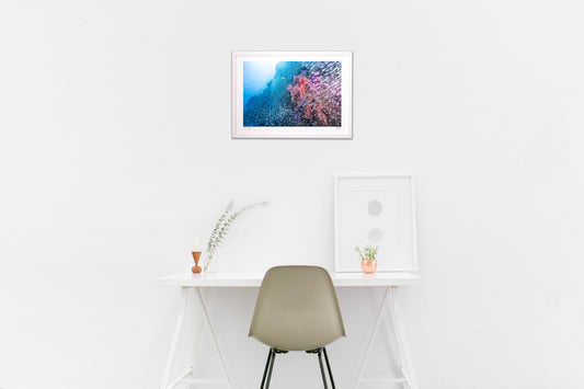 きらめきの花園