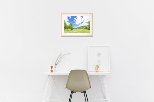 夏休みの思い出