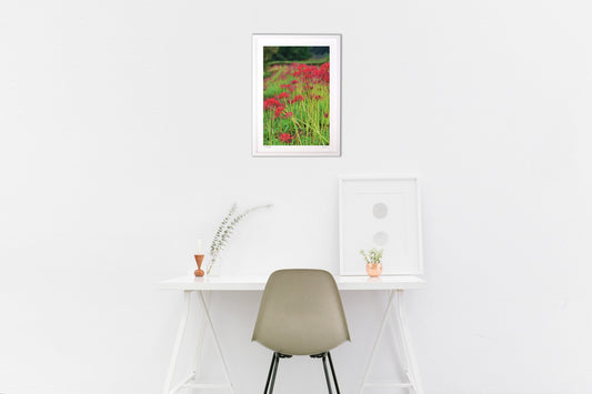 赤が際立つ彼岸花