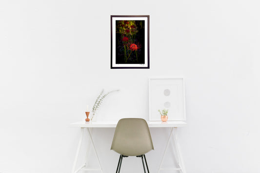 夕暮れの光と影1