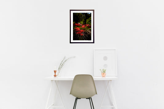 秋の陽差しを浴びて1