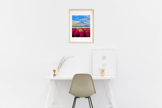 富士山と赤いコキア