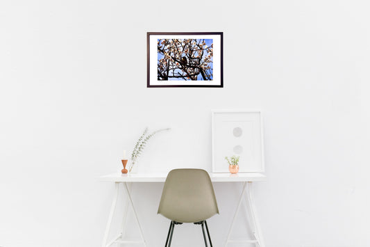 はなつゆ、その姿②