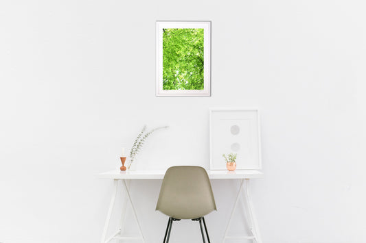 こもれび 2023🌱