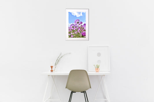 透かしコスモス