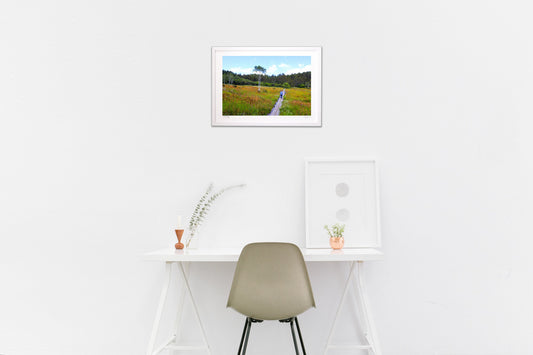 Walking through the marsh