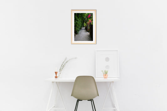 備瀬のフクギ並木