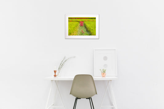 明日香村 彼岸花