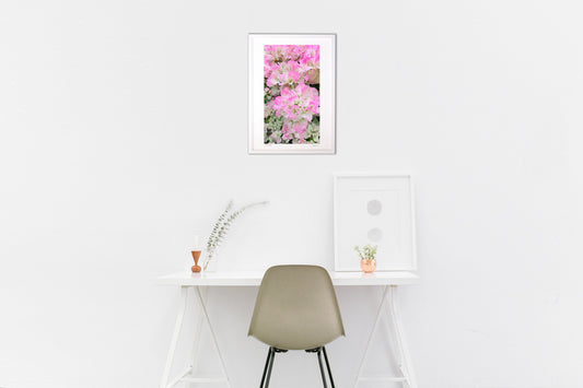 華やかなブーゲンビリア