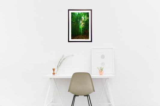 Abandoned local lines