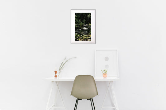 木漏れ陽と渓流