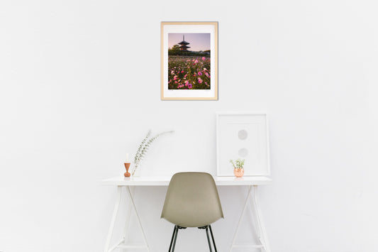 世界遺産とコスモス畑