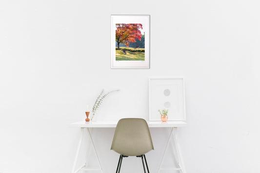 鮮やかな古都の秋