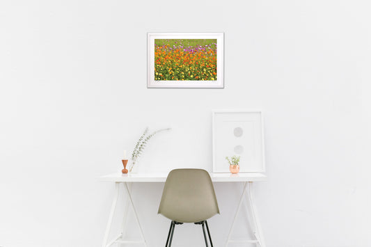 煌びやかなコスモス2