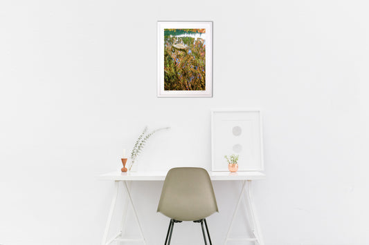 白鳥の波紋が描くアート🎨