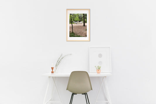 Rocking in a horse-drawn carriage