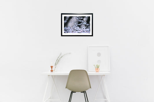 桜の花びら終宴