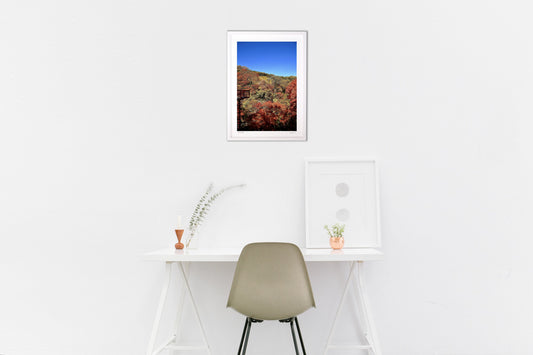 テラスから眺める秋