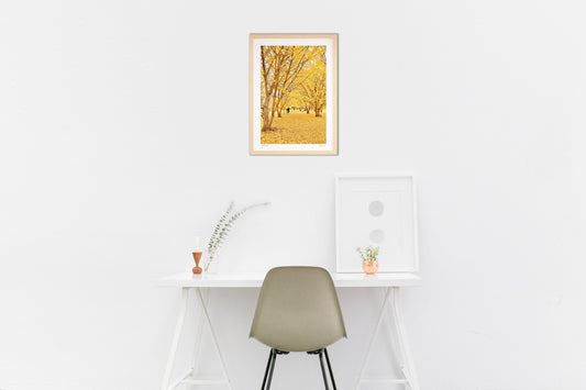 黄色の世界・冬近し