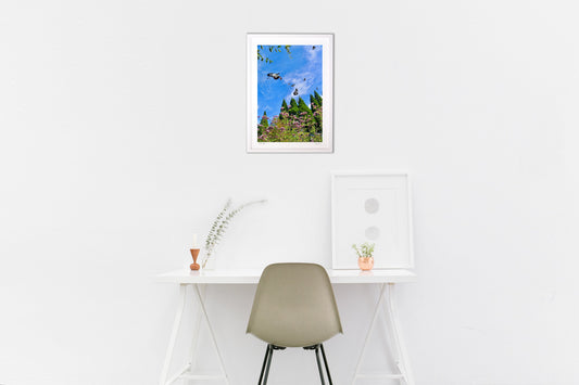 飛び立つアサギマダラ