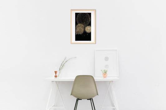 第36回やつしろ全国花火競技大会