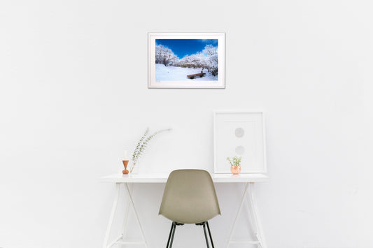 樹氷の見えるベンチ