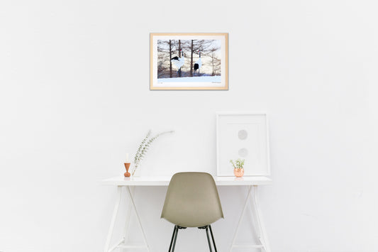 愛のデュエット