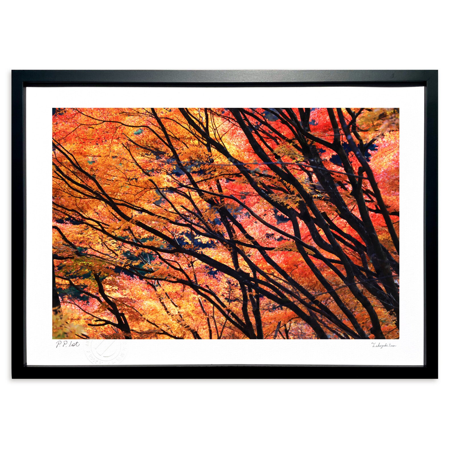 炎のように 紅葉 – 絵画や壁飾り販売｜風景投稿販売あゆわら(R)