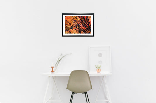 炎のように 紅葉