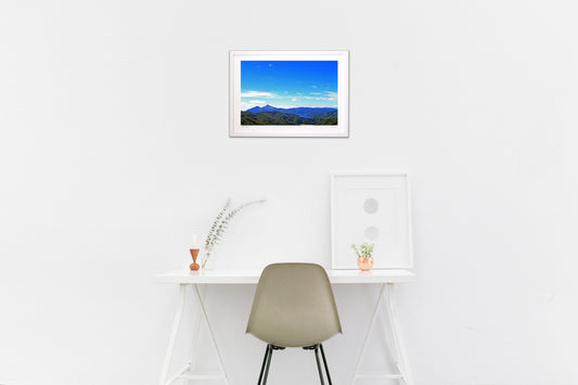 夏の絵日記より