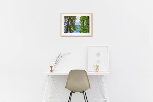 森と湖の教会(横)