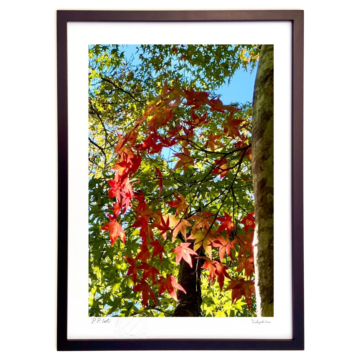 Little Autumn