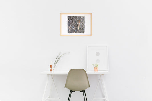 10月のコカマキリ