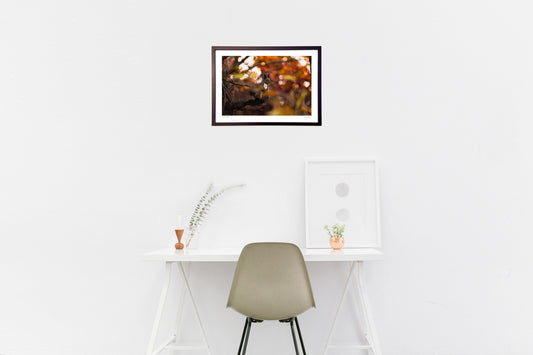 秋の森とエゾリス