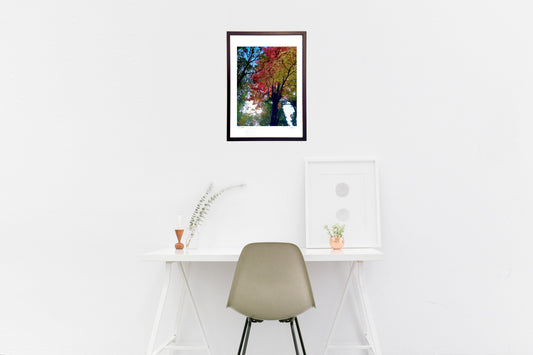 見上げた秋の世界