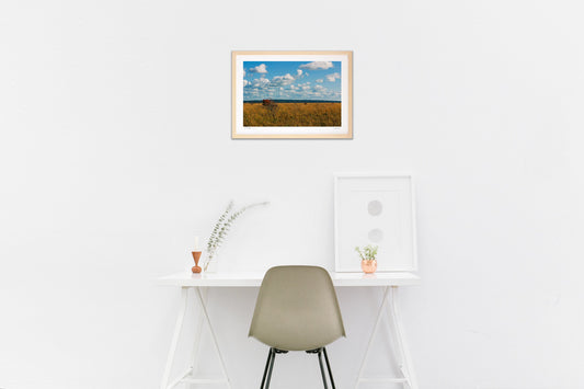 秋のサロベツ原野