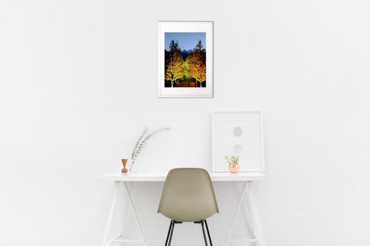 いちょう並木のライトアップ