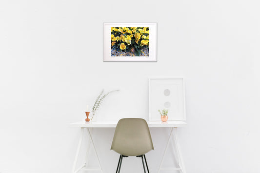 幸せのファンファーレ